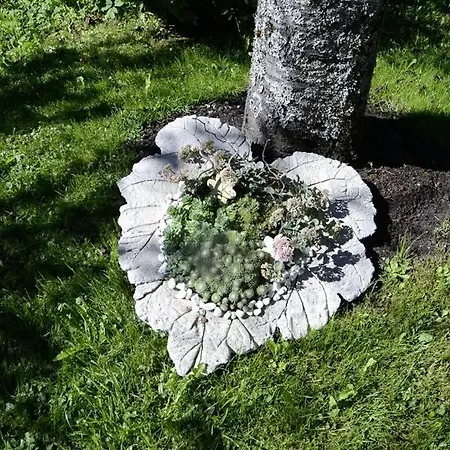 Daire Haus Saler Silbertal