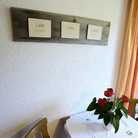 Haus Saler Daire Silbertal